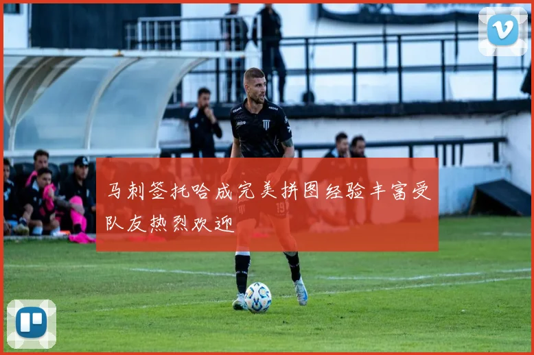 马刺签托哈成完美拼图经验丰富受队友热烈欢迎