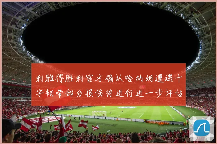 利雅得胜利官方确认哈纳姆遭遇十字韧带部分损伤将进行进一步评估