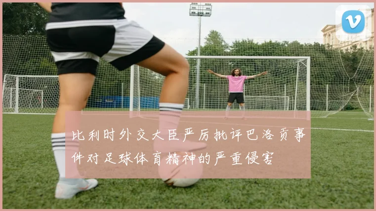 比利时外交大臣严厉批评巴洛贡事件对足球体育精神的严重侵害